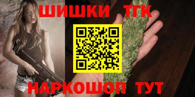 тгк Будённовск