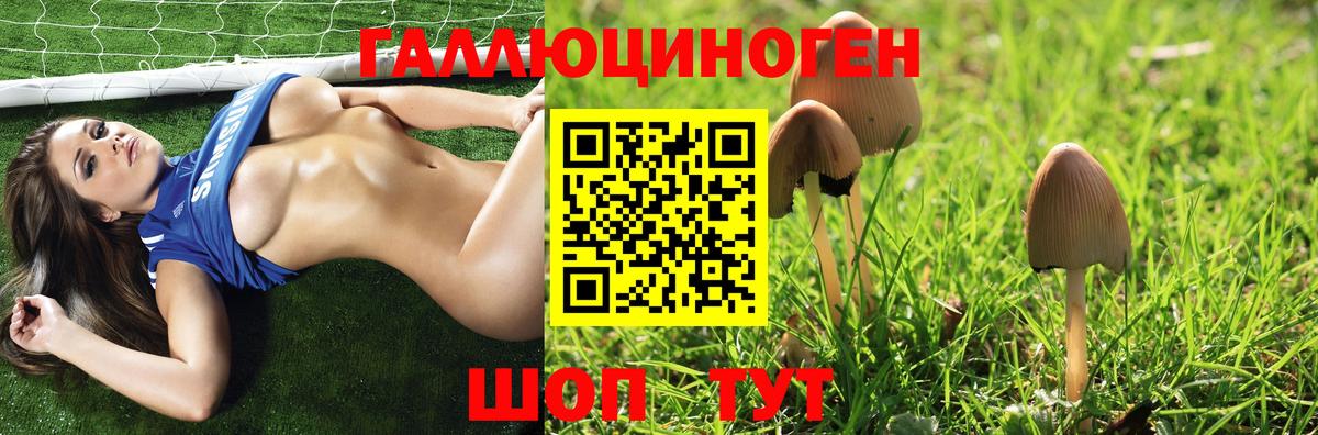 Тайшет  Псилоцибиновые грибы мицелий  Вход с VPN  Галлюциногенные грибы MAGIC MUSHROOMS 