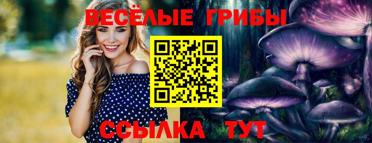 Псилоцибиновые грибы MAGIC MUSHROOMS Тайшет